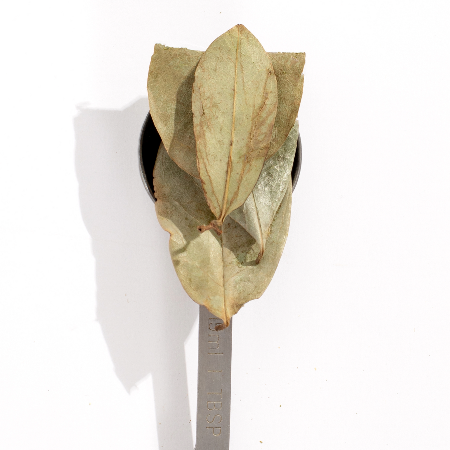 Soursop Leaf Tea