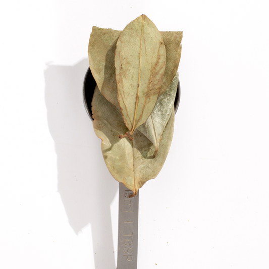 Soursop Leaf Tea
